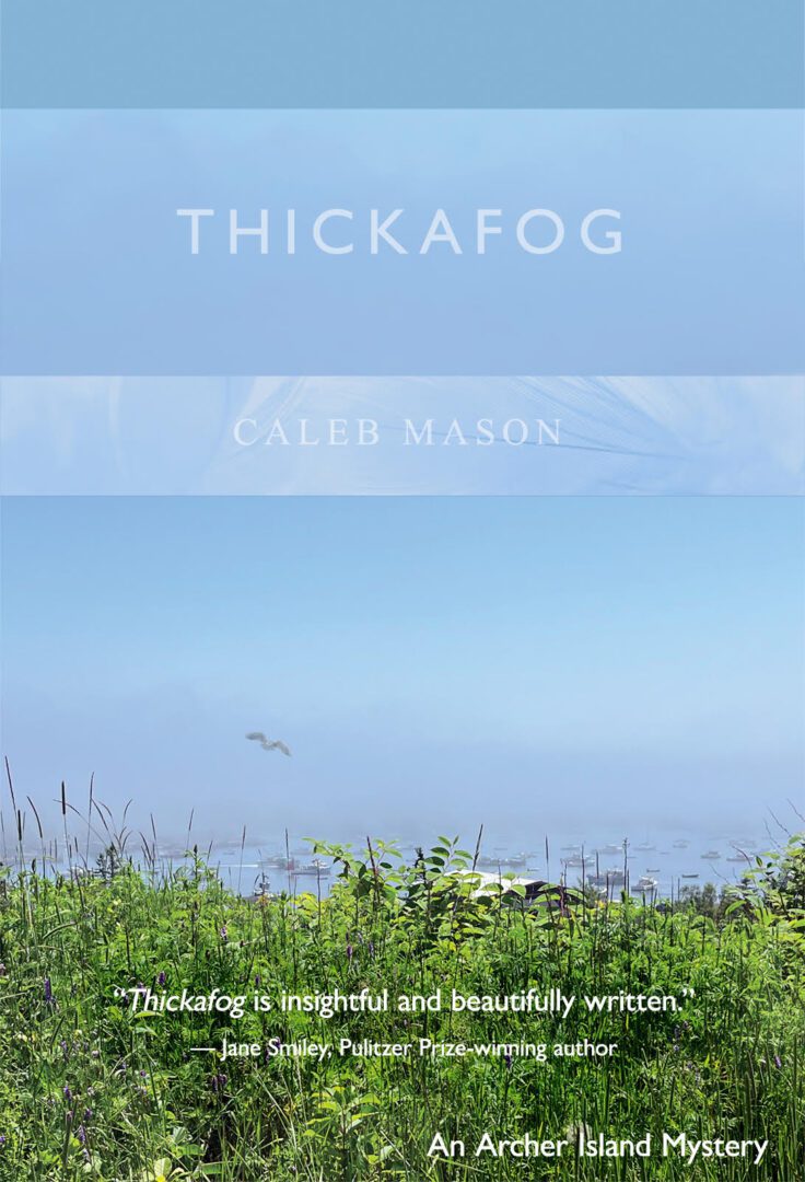 Book cover with foggy landscape and grass.